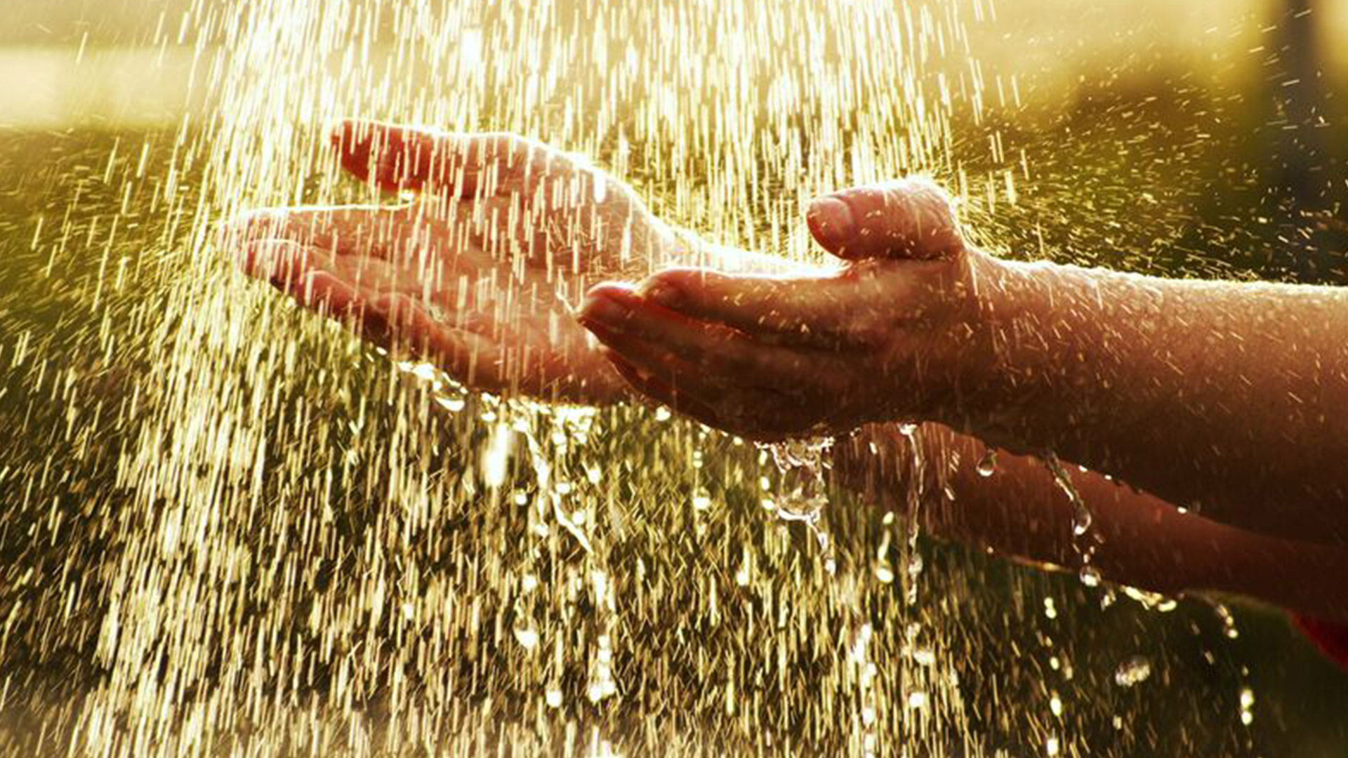 Regen- und Grauwassernutzung